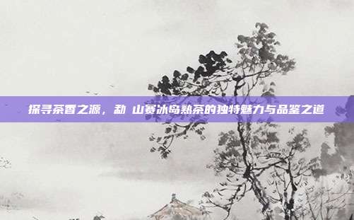探寻茶香之源，勐糧山赛冰岛熟茶的独特魅力与品鉴之道
