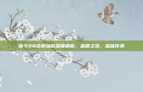 福今08古树熟茶深度解析，品质之选，品味传承