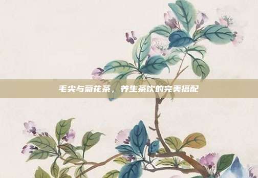 毛尖与菊花茶，养生茶饮的完美搭配