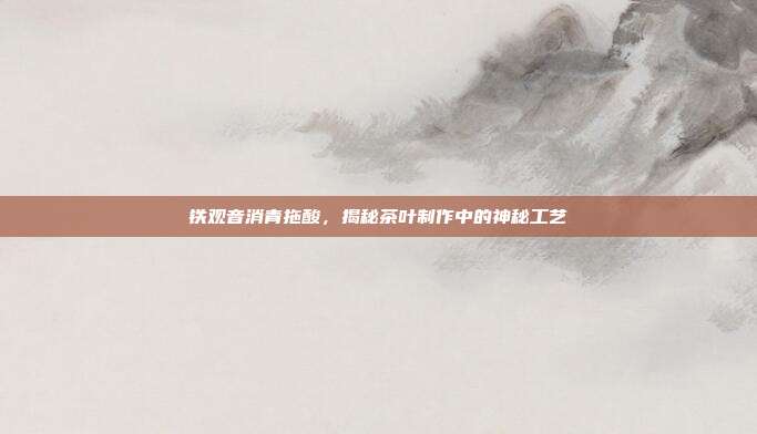 铁观音消青拖酸，揭秘茶叶制作中的神秘工艺