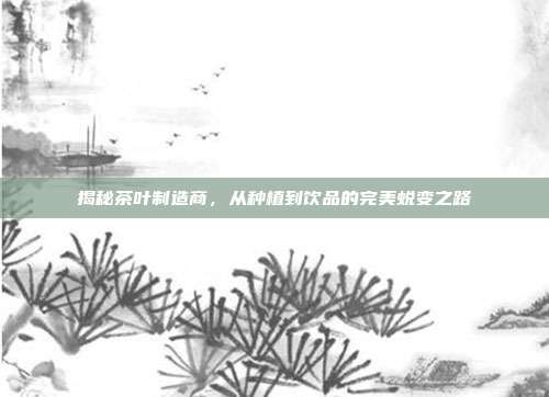 揭秘茶叶制造商，从种植到饮品的完美蜕变之路