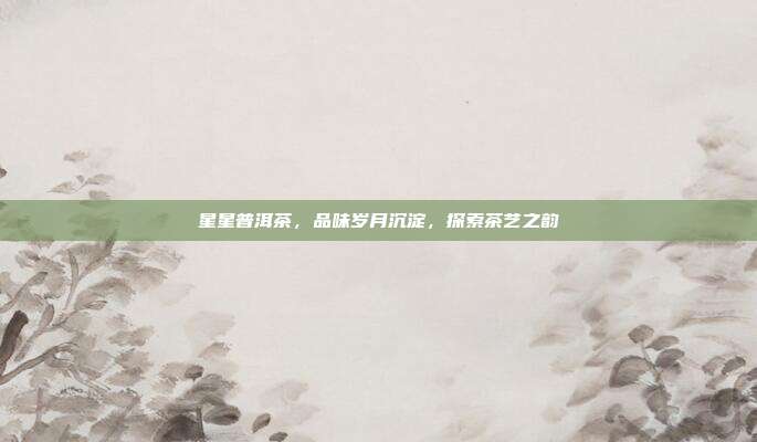 星星普洱茶，品味岁月沉淀，探索茶艺之韵