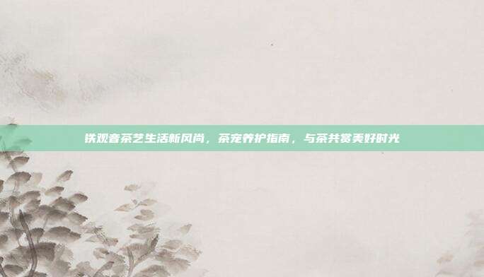铁观音茶艺生活新风尚，茶宠养护指南，与茶共赏美好时光