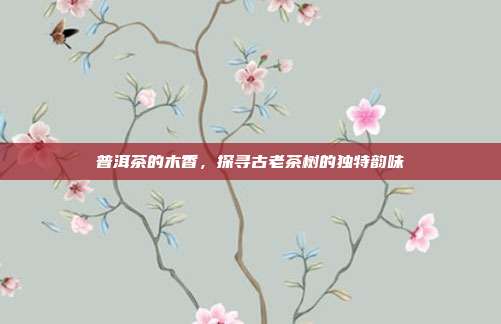普洱茶的木香，探寻古老茶树的独特韵味