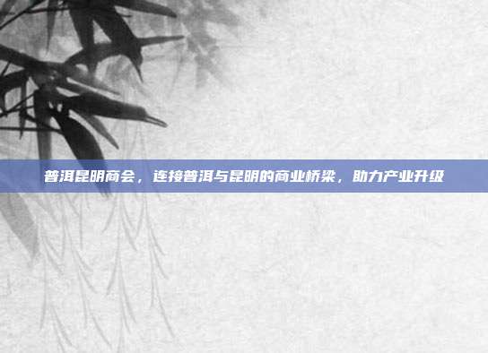 普洱昆明商会，连接普洱与昆明的商业桥梁，助力产业升级