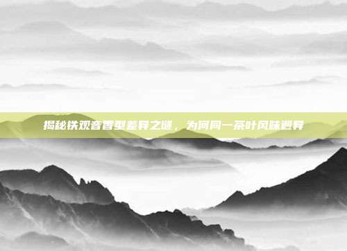 揭秘铁观音香型差异之谜，为何同一茶叶风味迥异