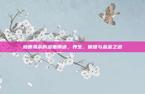 熟普洱茶的多重用途，养生、保健与品鉴之道