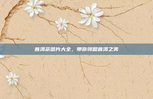 普洱茶图片大全，带你领略普洱之美