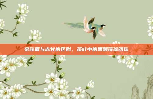 金骏眉与赤甘的区别，茶叶中的两颗璀璨明珠