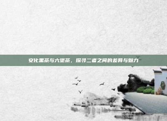 安化黑茶与六堡茶，探寻二者之间的差异与魅力