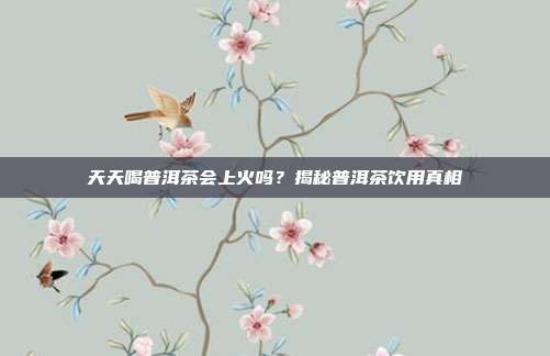 天天喝普洱茶会上火吗？揭秘普洱茶饮用真相