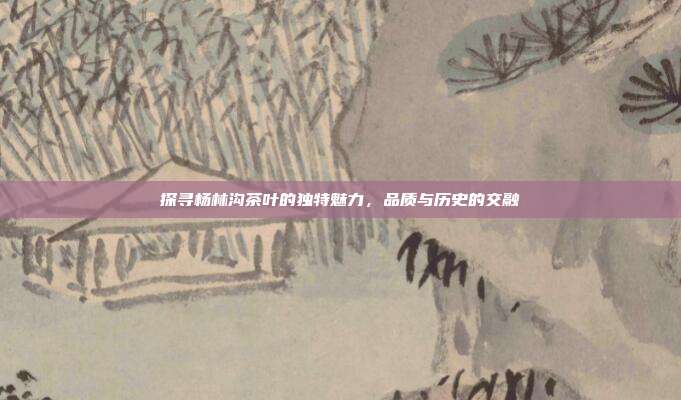 探寻杨林沟茶叶的独特魅力，品质与历史的交融