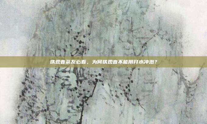 铁观音茶友必看，为何铁观音不能用开水冲泡？