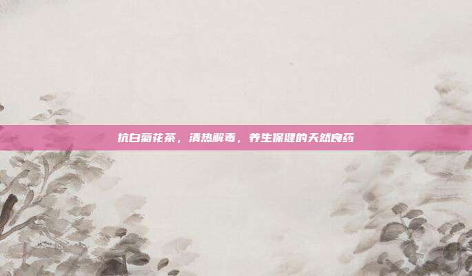 抗白菊花茶，清热解毒，养生保健的天然良药