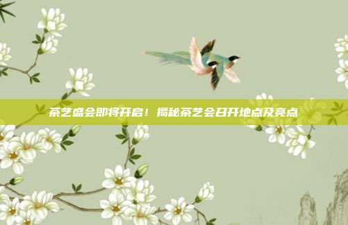 茶艺盛会即将开启！揭秘茶艺会召开地点及亮点