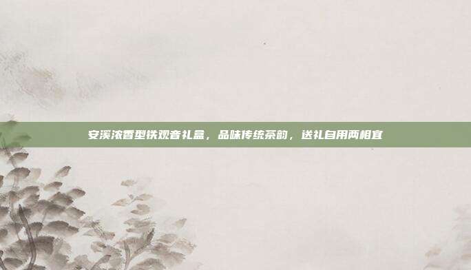 安溪浓香型铁观音礼盒，品味传统茶韵，送礼自用两相宜