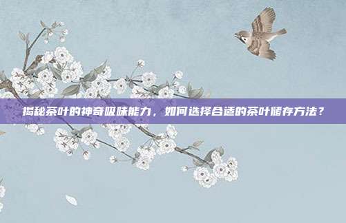 揭秘茶叶的神奇吸味能力，如何选择合适的茶叶储存方法？