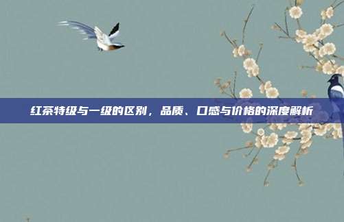 红茶特级与一级的区别，品质、口感与价格的深度解析