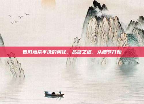 普洱熟茶不洗的奥秘，品茗之道，从细节开始