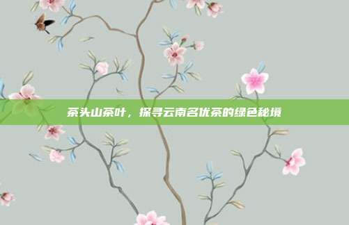 茶头山茶叶，探寻云南名优茶的绿色秘境