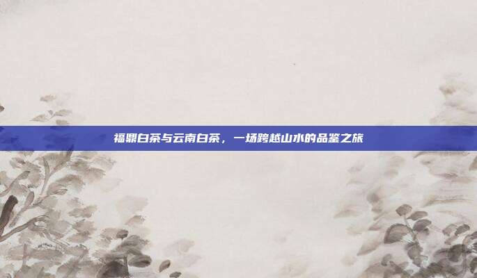 福鼎白茶与云南白茶，一场跨越山水的品鉴之旅