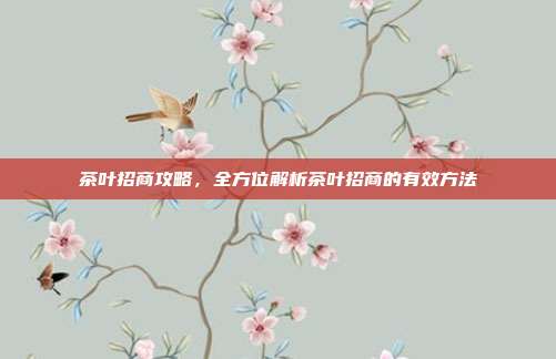 茶叶招商攻略,全方位解析茶叶招商的有效方法