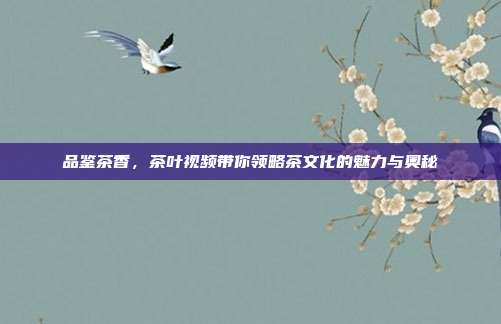品鉴茶香，茶叶视频带你领略茶文化的魅力与奥秘