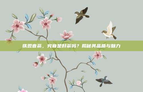 铁观音茶，究竟是好茶吗？揭秘其品质与魅力
