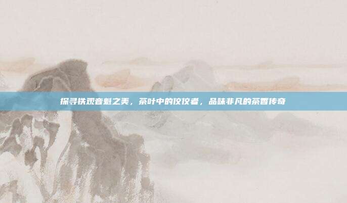 探寻铁观音魁之美，茶叶中的佼佼者，品味非凡的茶香传奇