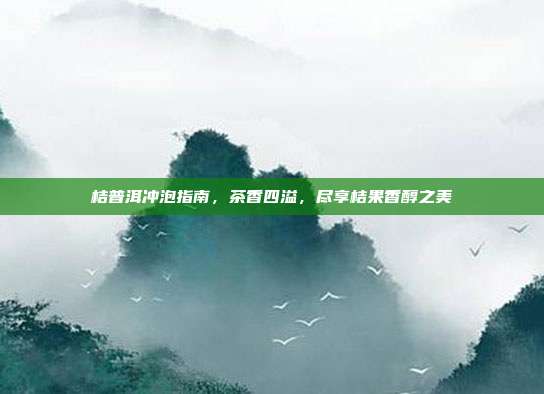 桔普洱冲泡指南，茶香四溢，尽享桔果香醇之美
