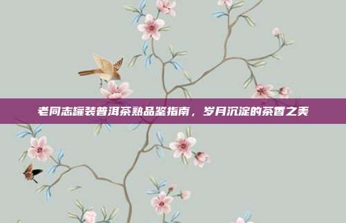 老同志罐装普洱茶熟品鉴指南，岁月沉淀的茶香之美