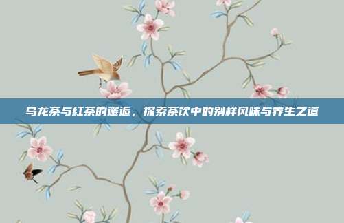 乌龙茶与红茶的邂逅，探索茶饮中的别样风味与养生之道
