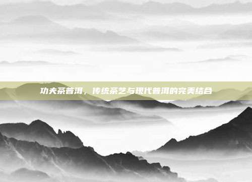 功夫茶普洱，传统茶艺与现代普洱的完美结合
