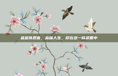 品鉴铁观音，品味人生，尽在这一杯茶香中
