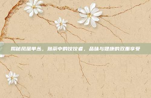 揭秘凤凰单丛，熟茶中的佼佼者，品味与健康的双重享受