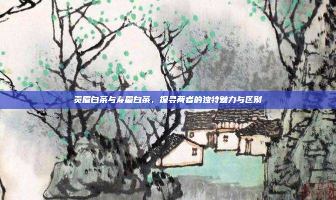 贡眉白茶与寿眉白茶，探寻两者的独特魅力与区别