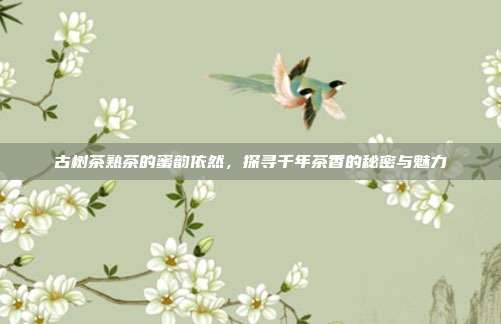 古树茶熟茶的蜜韵依然，探寻千年茶香的秘密与魅力