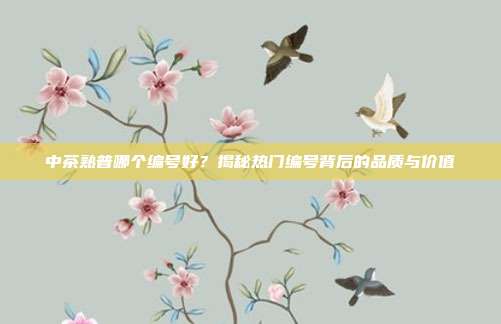 中茶熟普哪个编号好？揭秘热门编号背后的品质与价值