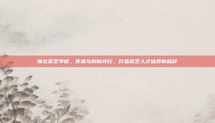 湖北茶艺学校，传承与创新并行，打造茶艺人才培养新标杆