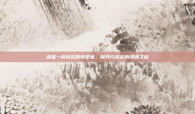品鉴一杯纯正的铁观音，探寻乌龙茶的灵魂之韵