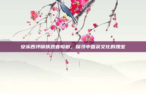 安溪西坪镇铁观音母树，探寻中国茶文化的瑰宝