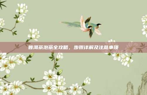 普洱茶泡茶全攻略，步骤详解及注意事项