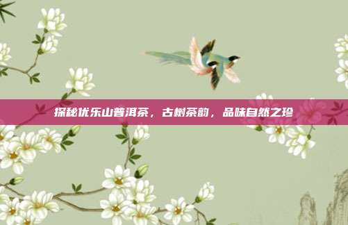 探秘优乐山普洱茶，古树茶韵，品味自然之珍