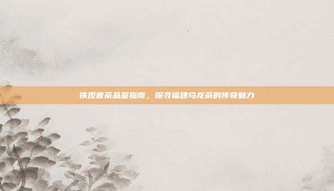 铁观音茶品鉴指南，探寻福建乌龙茶的传奇魅力