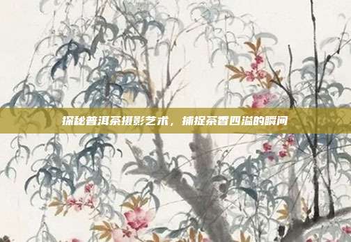 探秘普洱茶摄影艺术，捕捉茶香四溢的瞬间