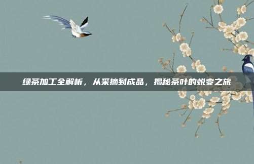绿茶加工全解析，从采摘到成品，揭秘茶叶的蜕变之旅