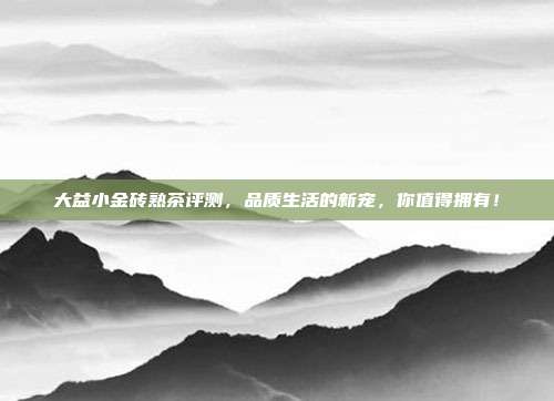 大益小金砖熟茶评测，品质生活的新宠，你值得拥有！