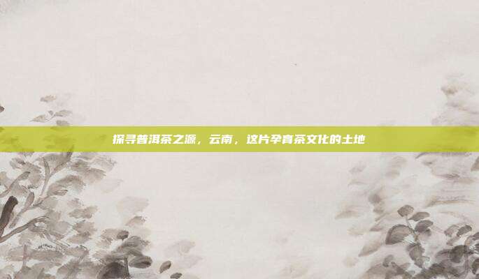 探寻普洱茶之源，云南，这片孕育茶文化的土地