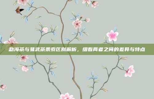 勐海茶与易武茶条索区别解析，细看两者之间的差异与特点