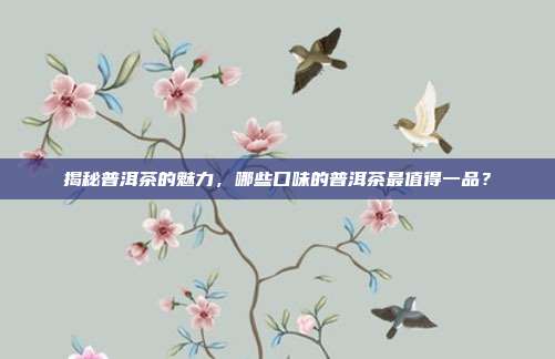揭秘普洱茶的魅力，哪些口味的普洱茶最值得一品？